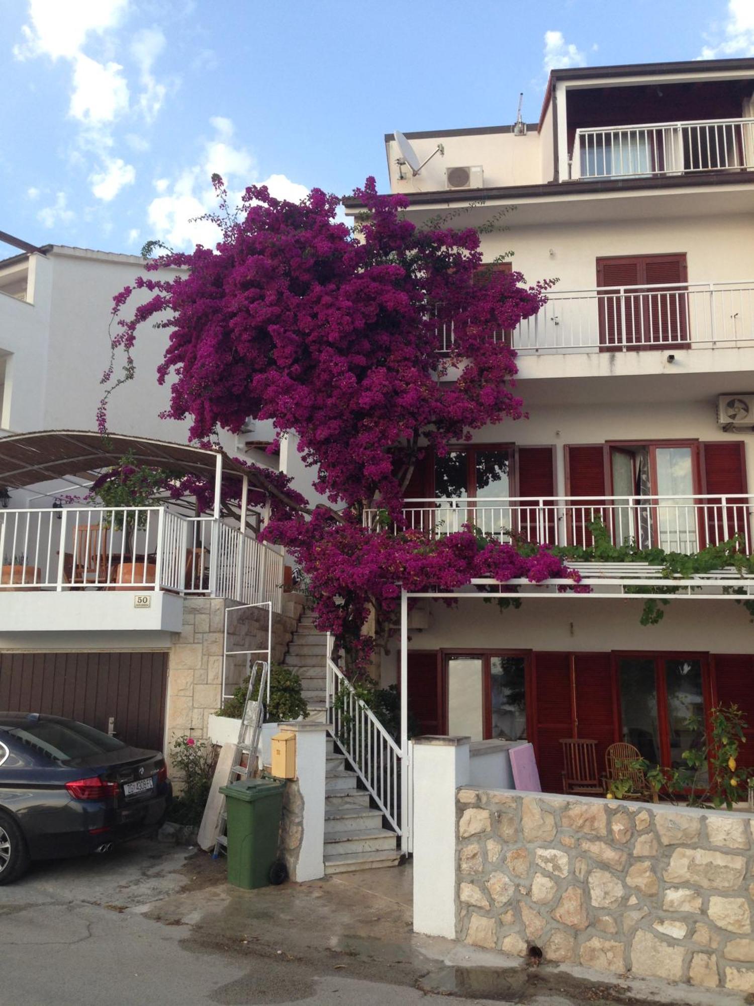 Apartment Duda Hvar Town Luaran gambar
